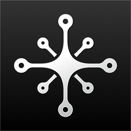 Synapse Team