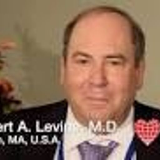Robert A. Levine