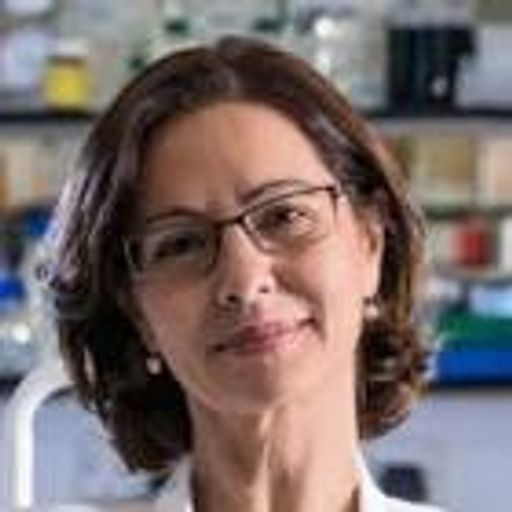 Rhian M. Touyz