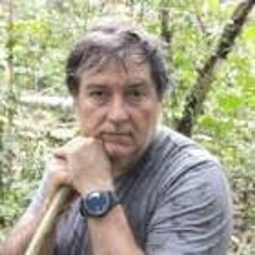 Carlos A. Peres