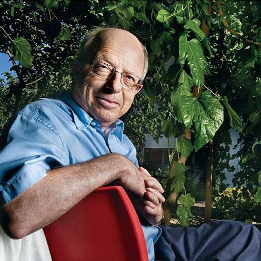 Itamar Willner
