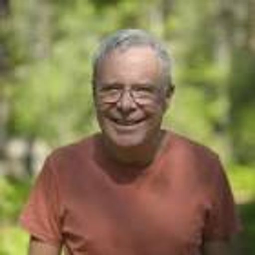 David A. Wardle