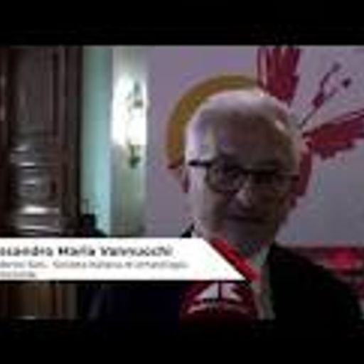 Alessandro M. Vannucchi