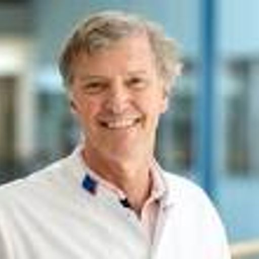 Dirk J. van Veldhuisen