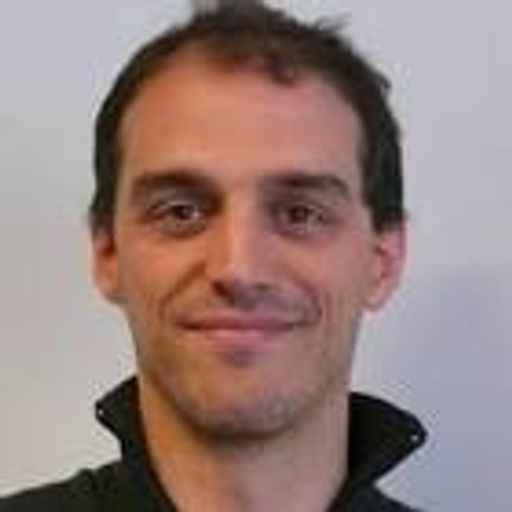 Laurent Bopp