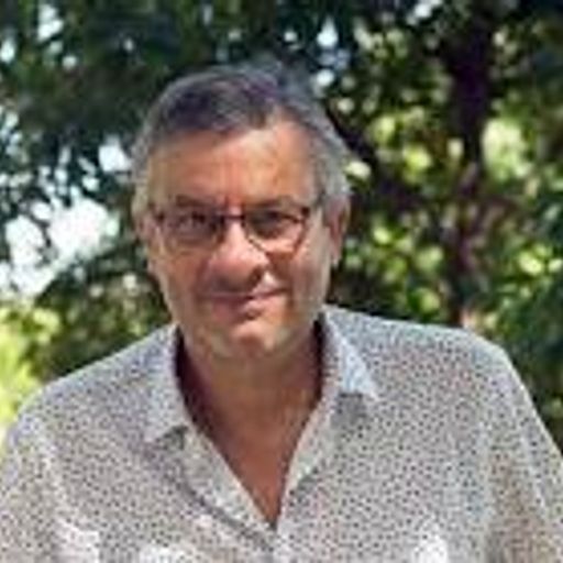 Juan Bisquert