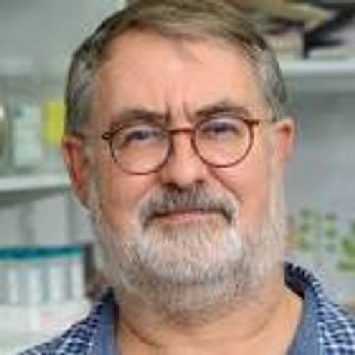 Steffen Jung