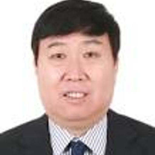 Bojie Fu