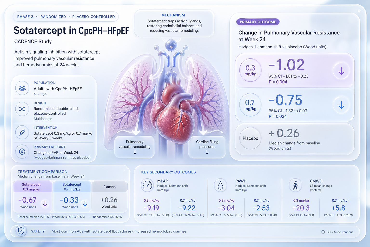 Graphical abstract