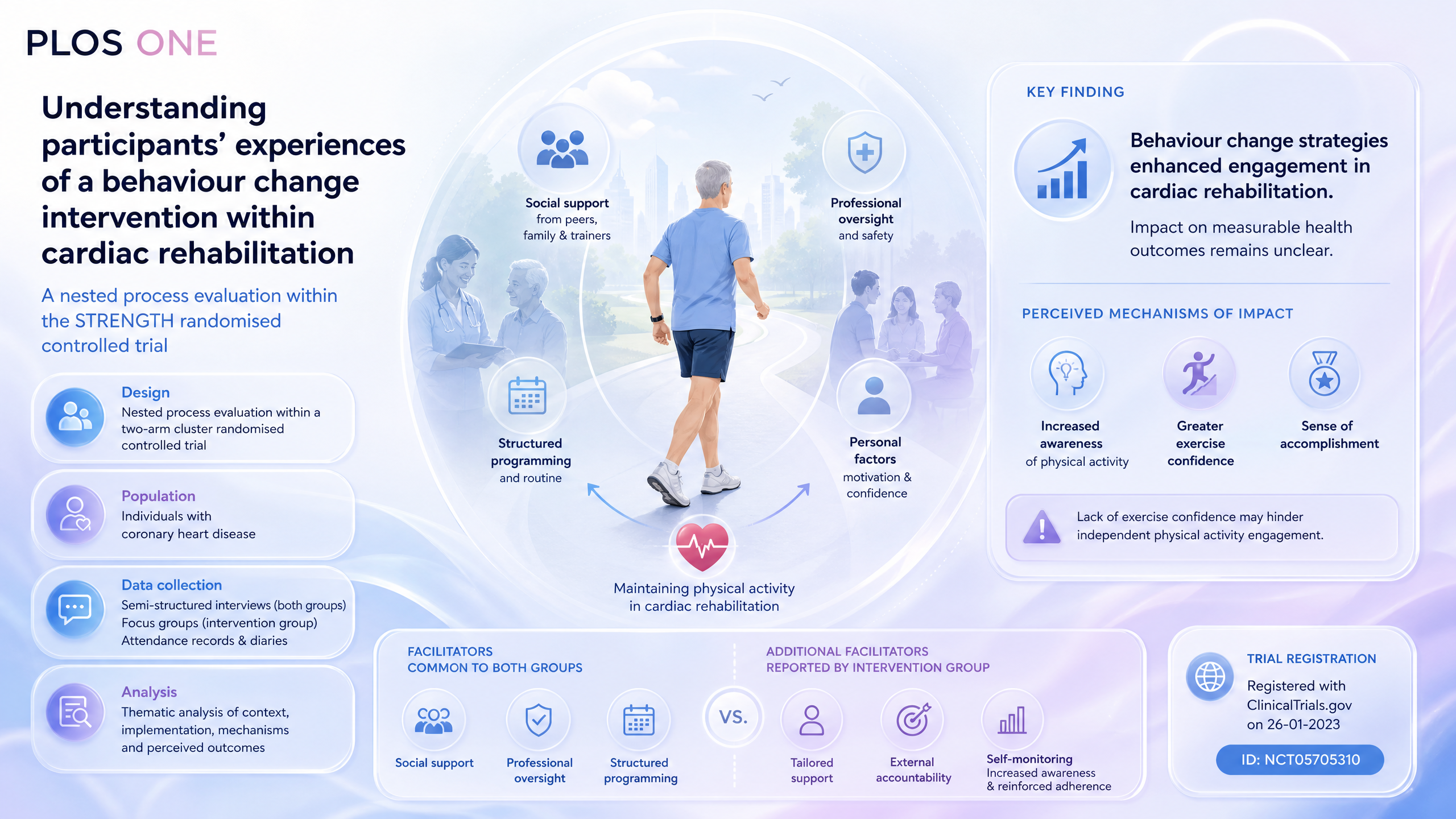 Graphical abstract