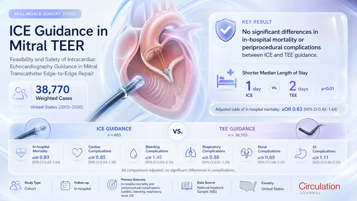 Graphical abstract