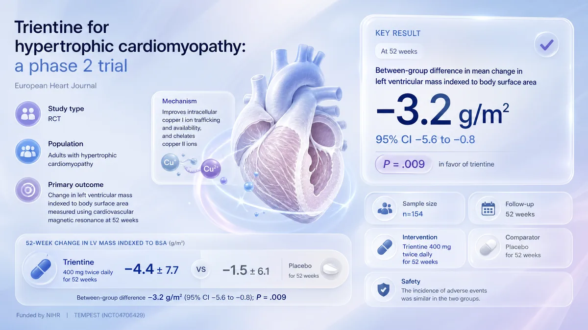 Graphical abstract