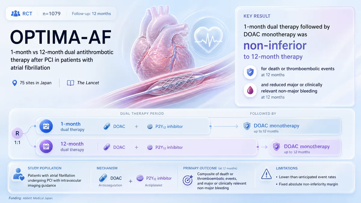Graphical abstract