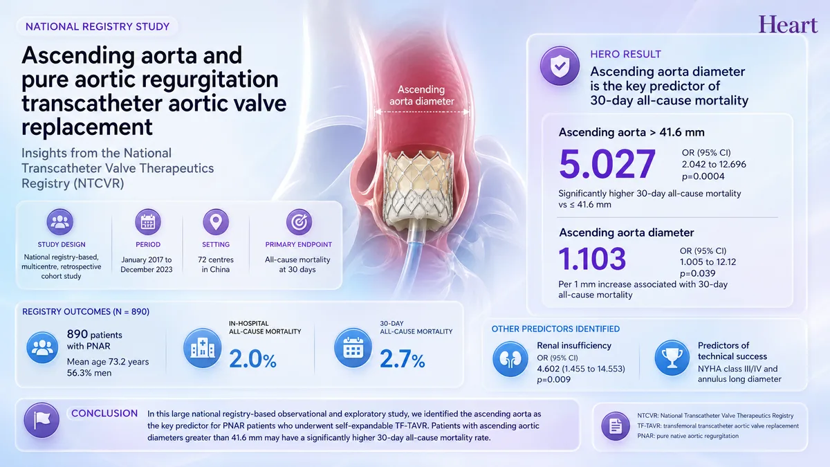 Graphical abstract