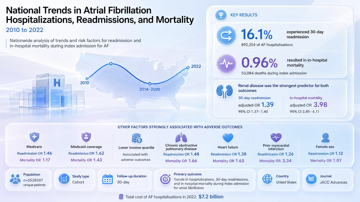 Graphical abstract